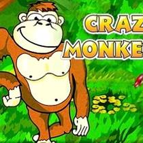 Слот Crazy Monkey обретает большую популярность в последнее время 