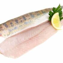 Где купить рыбу судак в СПб – советы экспертов
