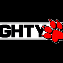 Naughty Dog ответила на вопрос о будущем студии после The Last of Us 2, следующим проектом может стать игра в новом жанре